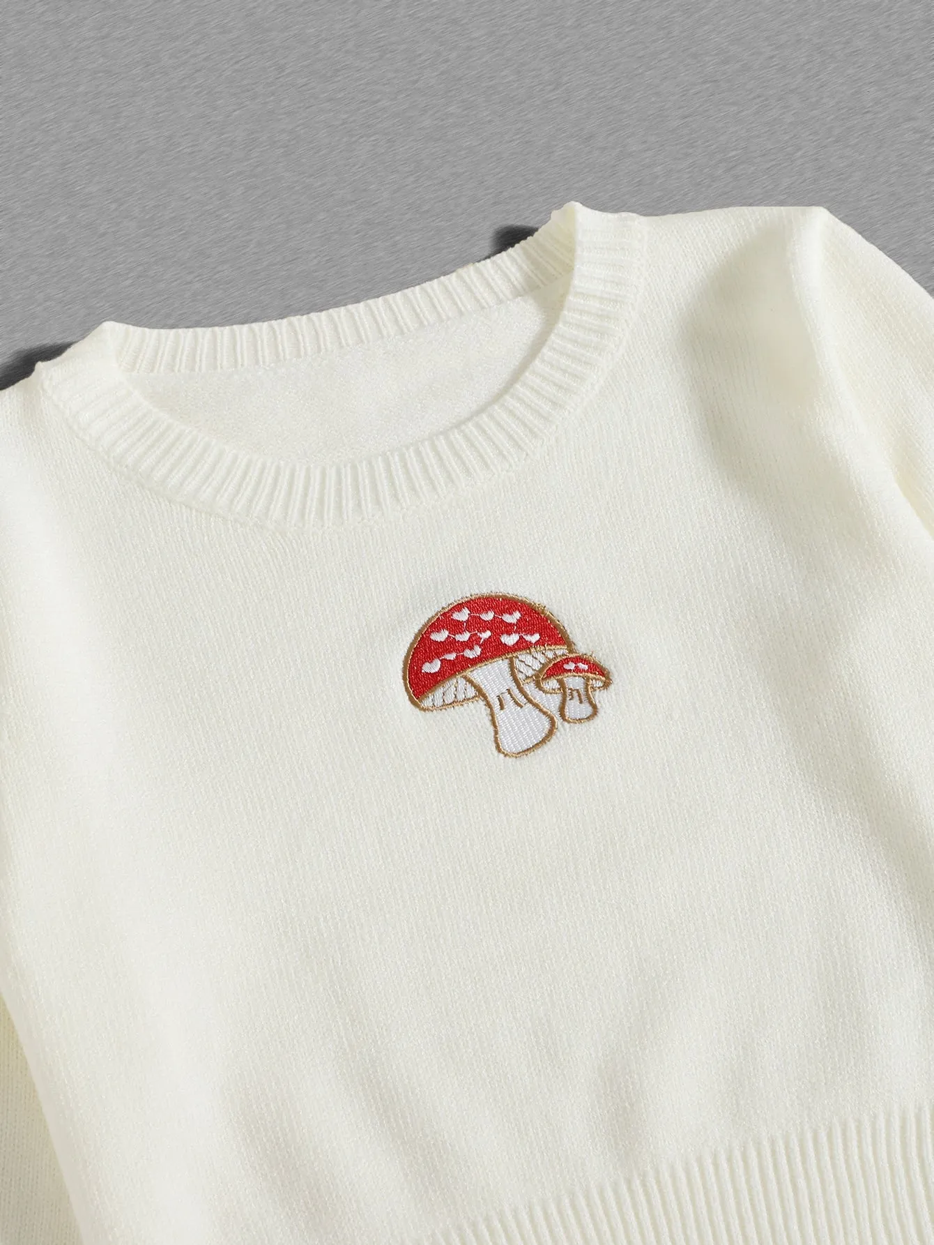 Casual Fruit&Vegetable Embroidery Long Sleeve Round Neck Crop Women Sweater