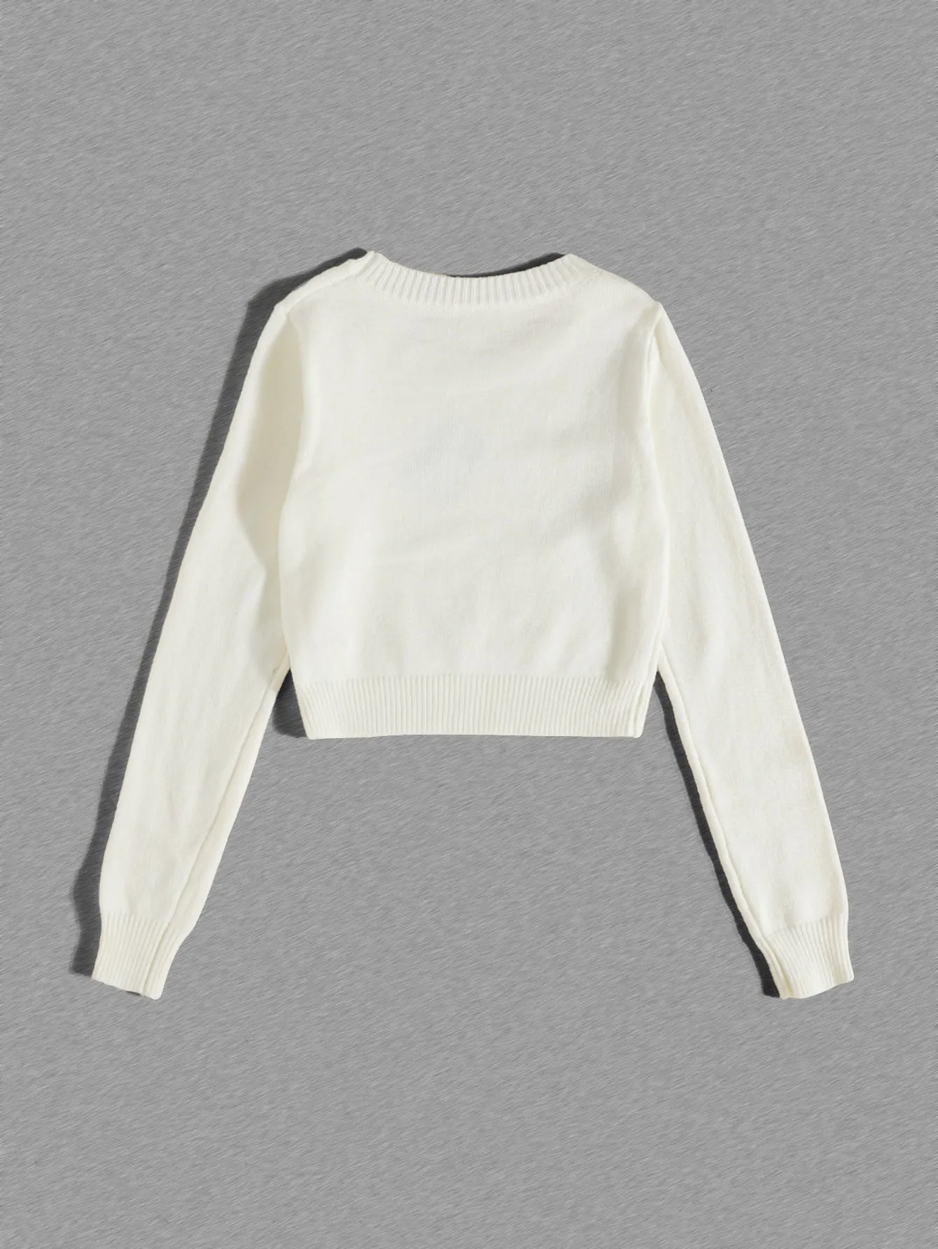 Casual Fruit&Vegetable Embroidery Long Sleeve Round Neck Crop Women Sweater