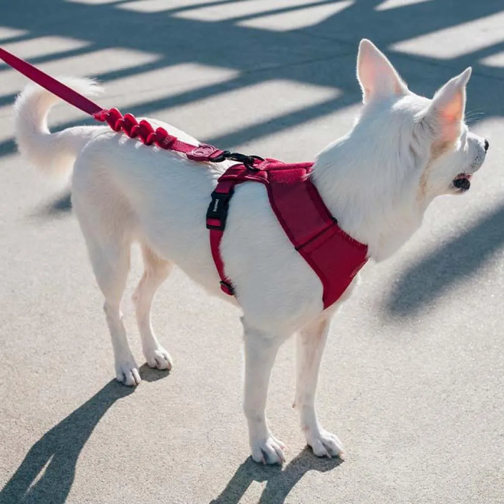 Zee.Dog Air Mesh Dog Harness (Bordeau)